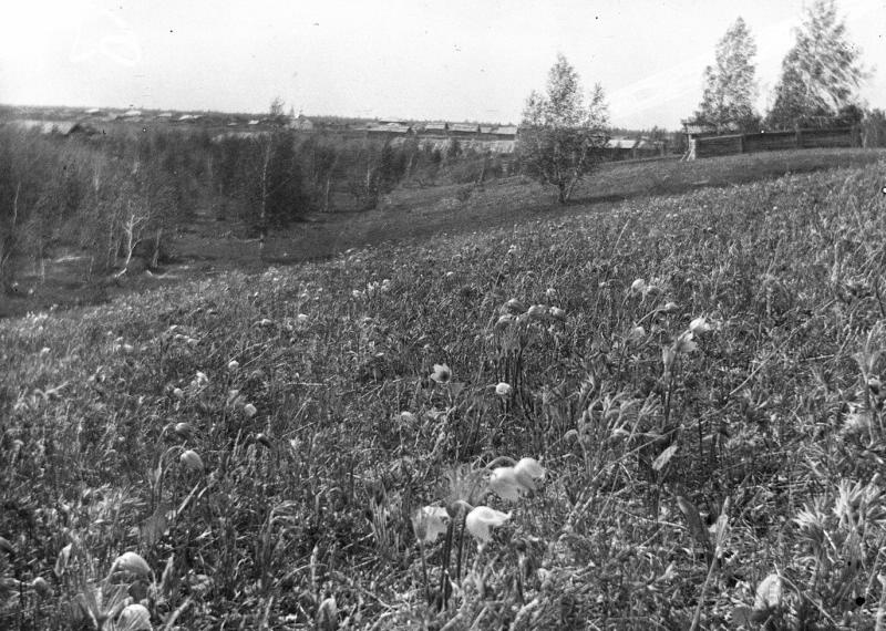 Русско-японская война. Сельский пейзаж, 27 января 1904 - 23 августа 1905, г. Владивосток (?)