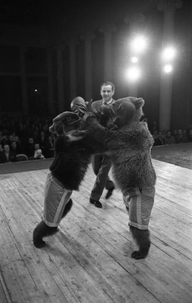 Артисты цирка в ЦДРИ. Валентин Филатов с дрессированными медведями, 1961 - 1963, г. Москва