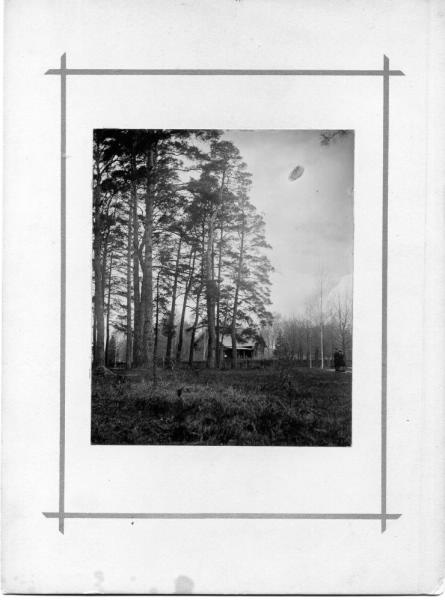 Деревянный дом в лесу, 1900-е
