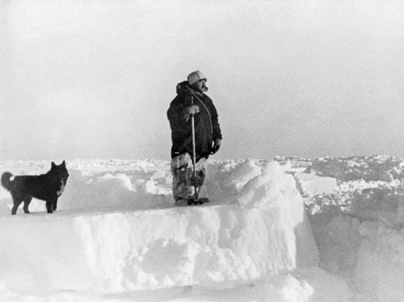 Начальник дрейфующей станции Иван Папанин осматривает окрестности льдины. Слева пес Веселый, 1937 год
