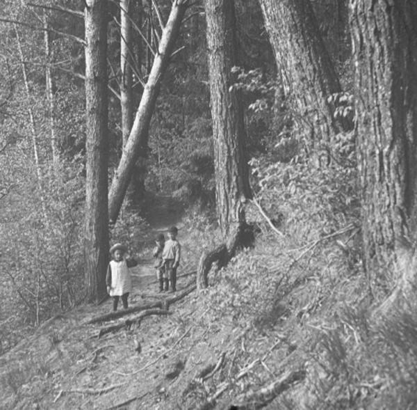 Всеволод Авдонин (сын Ивана Васильевича Авдонина) с двумя мальчиками в лесу, 1910 - 1911