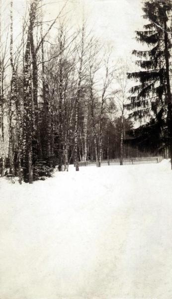 Опушка леса, 1896 - 1903