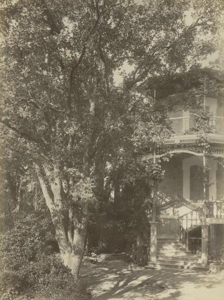 Вид на здание, 1890-е