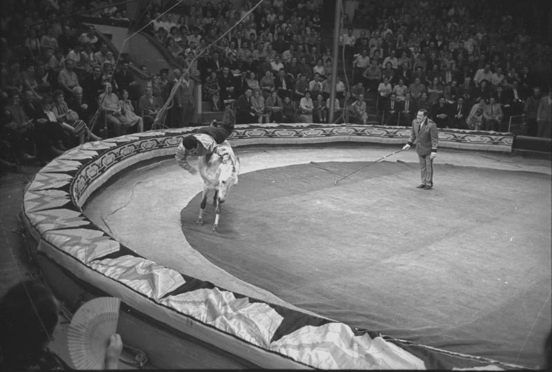 Цирковой наездник, 1950-е, г. Москва