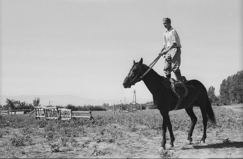 Юноша стоящий на спине лошади, 1955 - 1965