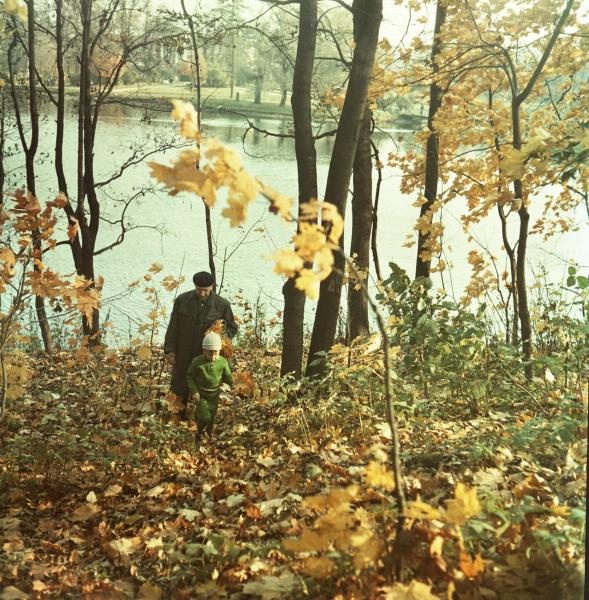 Среди осенних деревьев отец и ребенок, 1961 - 1969, Ленинградская обл., г. Гатчина