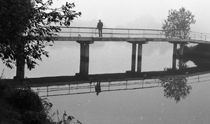 Серебряный Бор. Туман, август 1985, г. Москва. Выставка&nbsp;«В августе 1985-го» с этой фотографией.