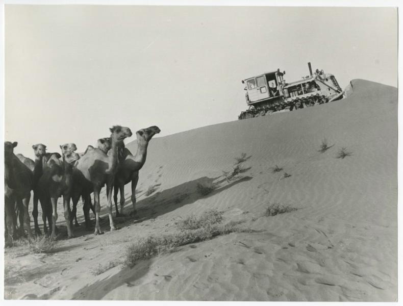 Наступление на пески Кызылкумов, 1974 год, Узбекская ССР. Выставка «В пустыне» с этой фотографией.