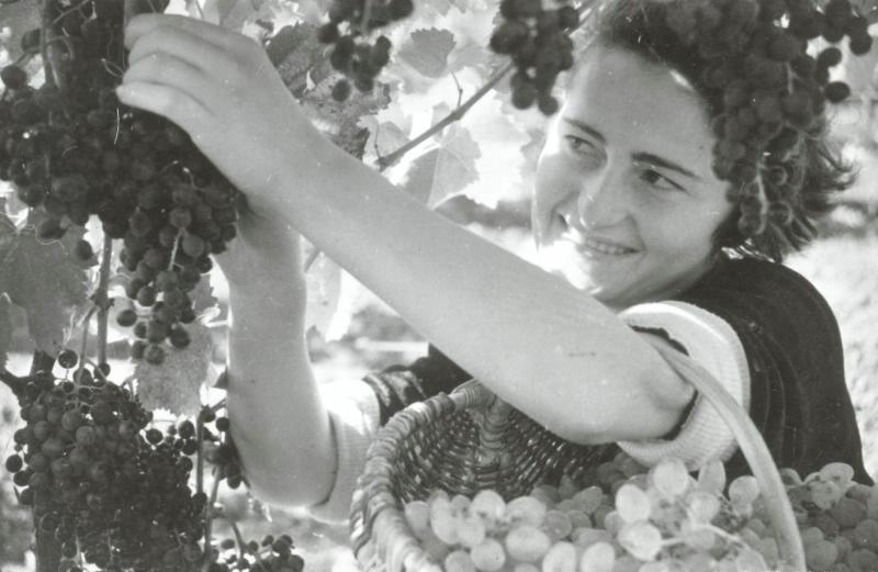 Девушка с виноградом, 1934 год, Армянская ССР. Предположительно, фотография сделана в Армянской ССР.