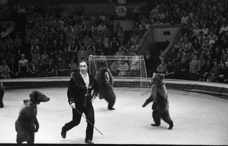 Номер дрессировщика Касеева: медведи, играющие в футбол, 1960-е