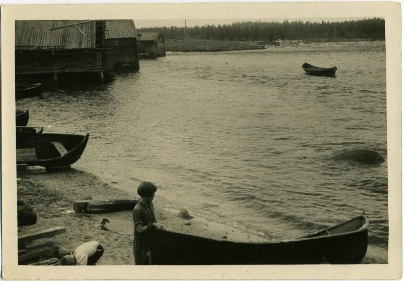 Река Золотица, 1920-е, Архангельская губ.