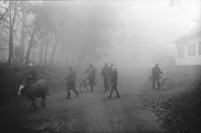 Туман, 1982 - 1983, Украинская ССР, Черниговская обл., пгт. Седнев