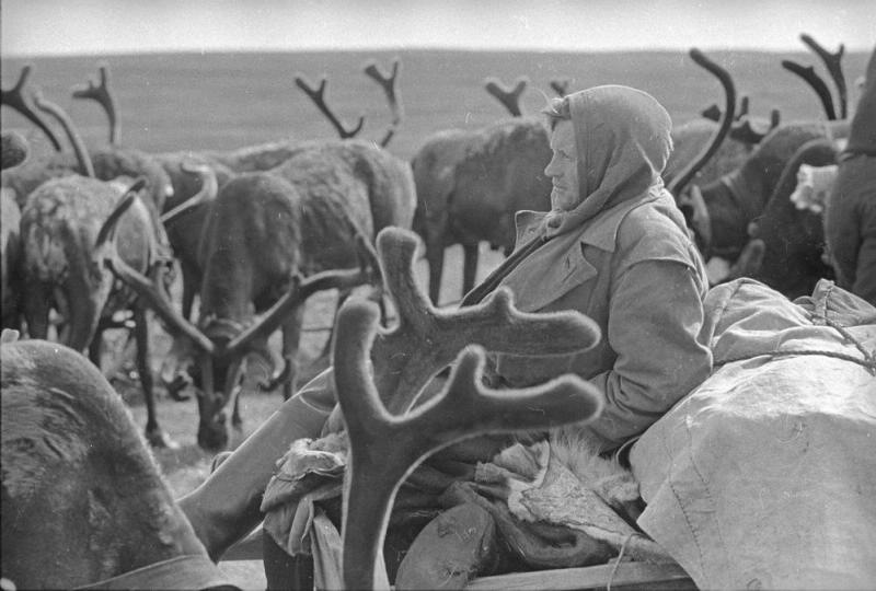 Оленевод в тундре, 1965 год, Архангельская обл., Ненецкий НО. Из серии «Край земли. Ненцы».В 1977 году Ненецкий национальный округ был переименован в Ненецкий автономный округ. 