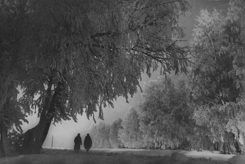Зимний куржак, 1951 год, Алтайский край, Шипуновский р-н. Выставка «Лучшие фотографии зимы» с этим снимком.&nbsp;